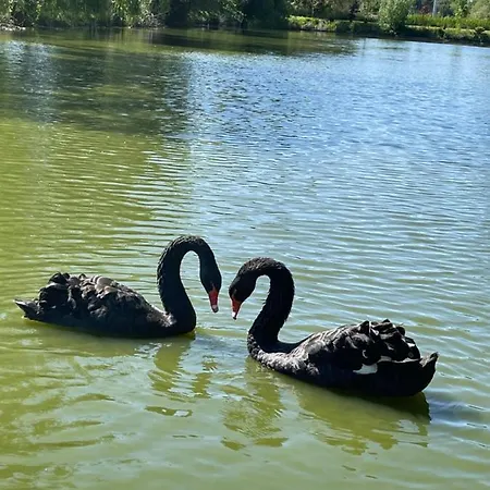Paradijs Eiland