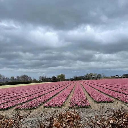 Paradijs Eiland Oda ve Kahvaltı Hillegom
