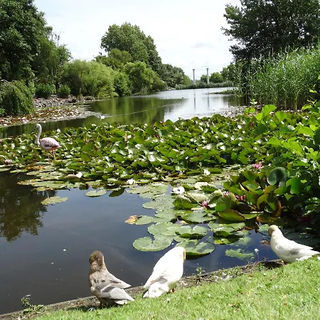 Paradijs Eiland