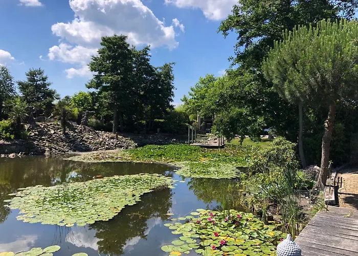 Paradijs Eiland 4* Hillegom