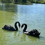 Paradijs Eiland