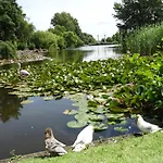 Paradijs Eiland