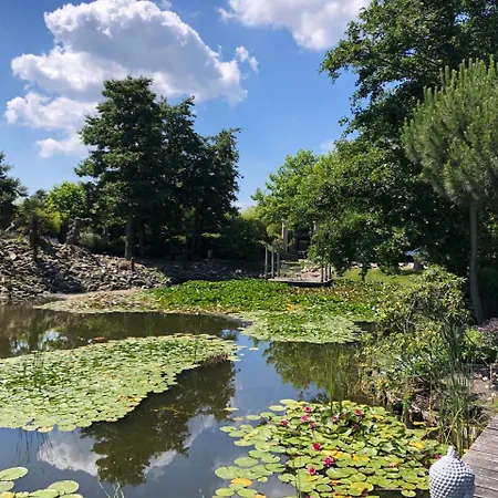 Paradijs Eiland 4* Hillegom