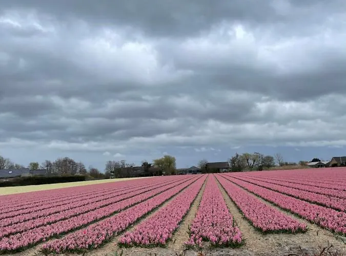 Paradijs Eiland Frühstückspension Hillegom